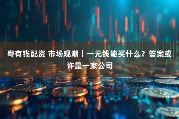 粤有钱配资 市场观潮丨一元钱能买什么？答案或许是一家公司