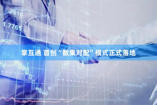 掌互通 首创“散集对配”模式正式落地