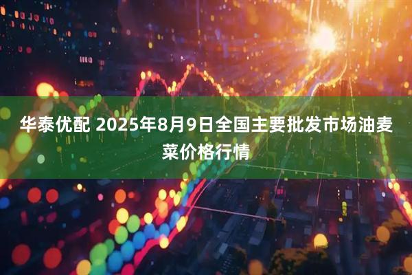 华泰优配 2025年8月9日全国主要批发市场油麦菜价格行情